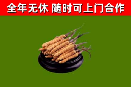 深汕区烟酒回收冬虫夏草.jpg
